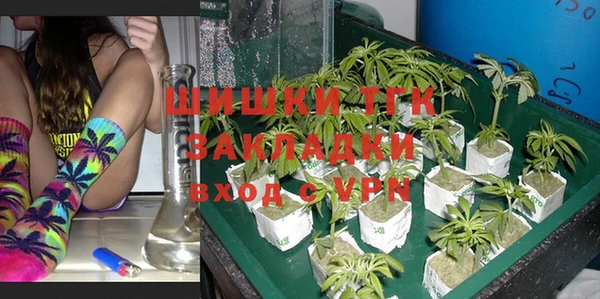 стаф Нея