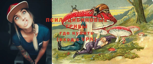 стаф Нея