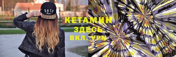 стаф Нея