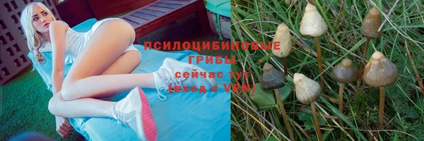 jwh Нефтегорск
