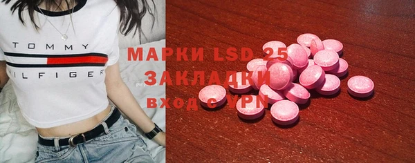 стаф Нея
