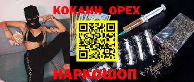 гидропоника Пенза