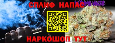 гидропоника Пенза