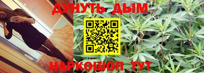 гидропоника Пенза