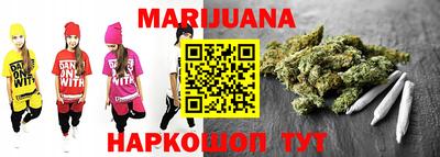 гидропоника Пенза