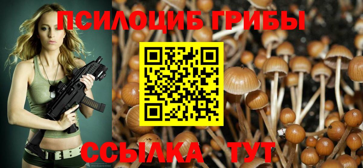 Галлюциногенные грибы мицелий  Вход с VPN  Псилоцибиновые грибы Magic Shrooms  Серпухов 